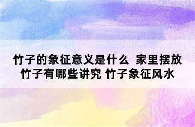 竹子的象征意义是什么  家里摆放竹子有哪些讲究 竹子象征风水